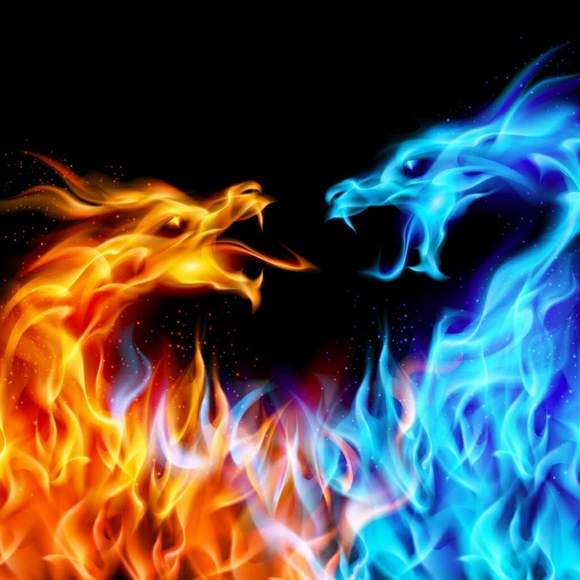 Meet your Posher, Oweida - Picture 1 of 1